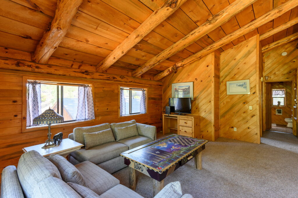 The loft includes a large amount of natural light and comfy couches for lounging while reading or watching tv.